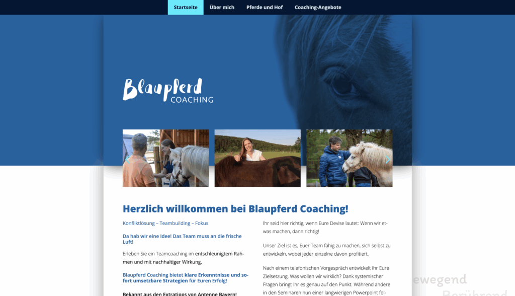 Website Blaupferd Claudia-Boy-Reidner