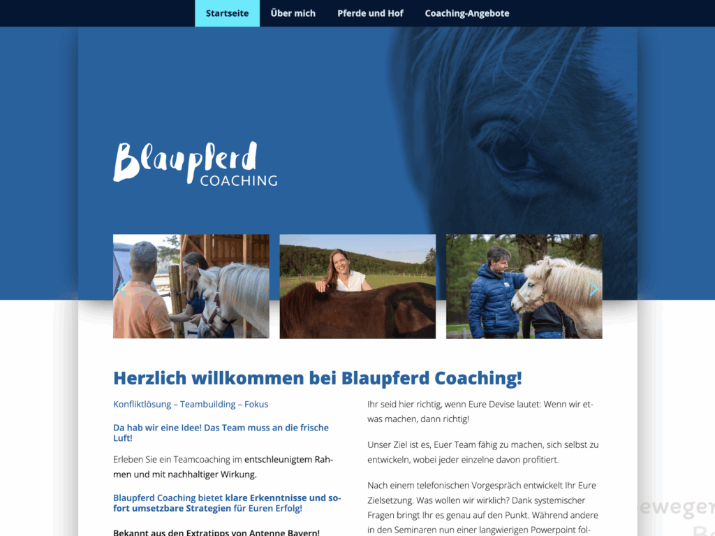 Website Blaupferd Claudia-Boy-Reidner